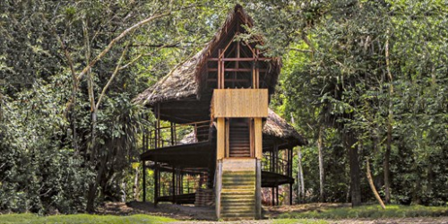 Reviva los sueños de su infancia en estos hoteles Treehouse 